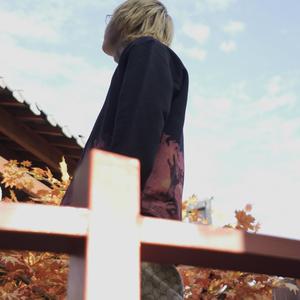 秋霞免费理论片在线观看午夜
