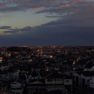 秋霞免费理论片在线观看午夜
